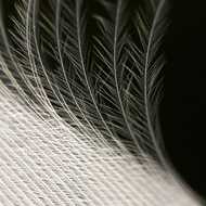 habro fotografie.jpg