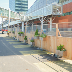 Groene Bouwhekken.jpg