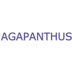 Hoveniersbedrijf De Agapanthus.jpg