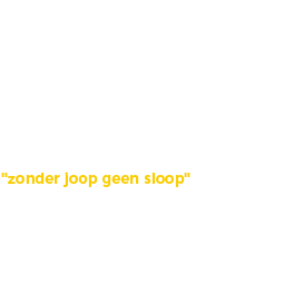Joop Rodenburg Sloopwerken en Puinrecycling B.V..jpg