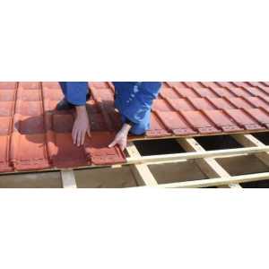 Maurice Biesmans Dakwerken.jpg