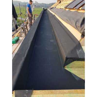 van der Horst Dakbedekkingen .jpg