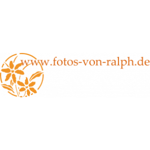 www.fotos-von-ralph.de.jpg