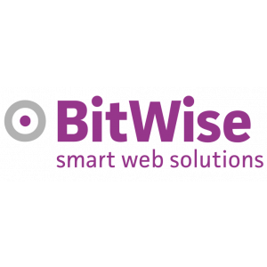 BitWise smart web solutions.jpg