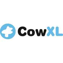 Cow XL webdesign Emmen.jpg
