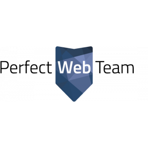 Perfect Web Team.jpg