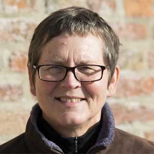 Webdesigner en iCoach voor het MKB | Sabine van Erp.jpg