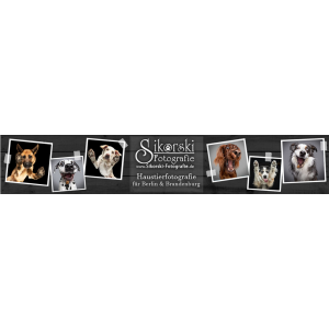 Sikorski Fotografie - Hundefotografie für Berlin & Brandenburg.jpg