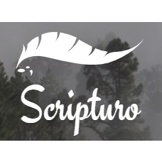 Nerbiz Webdesign.jpg