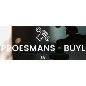 PROESMANS-BUYL BV.jpg