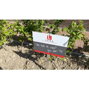 Lengbestratingen .jpg