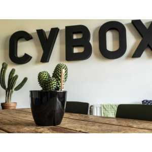 Cybox internet & communicatie.jpg