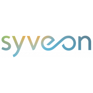 Syveon | Laat het web voor je werken.jpg