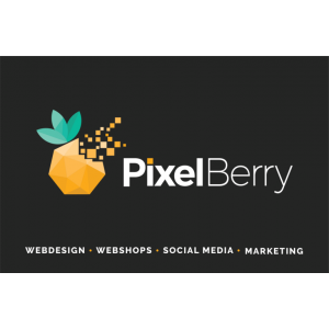 Pixel Berry.jpg
