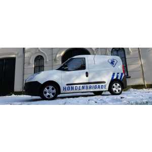 DFM Security Services.jpg