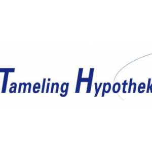 Tameling Hypotheken & Assurantiën.jpg