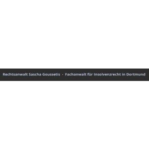Lawyer Sascha Goussetis lawyer specializing in bankruptcy law.jpg