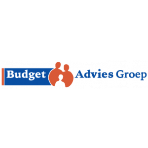 Budget Advies Groep.jpg