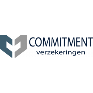 Commitment Verzekeringen (Alfisure).jpg
