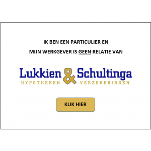 Lukkien & Schultinga B.V..jpg