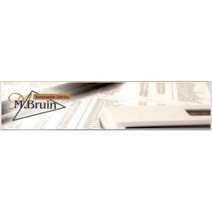 Assurantie Advies M. Bruin.jpg