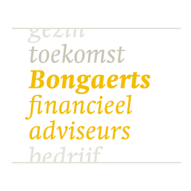 Bongaerts Financieel adviseur.jpg
