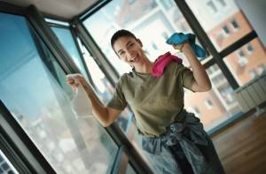 schoon in 't gooi.jpg