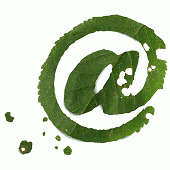 Rozema hoveniers.jpg