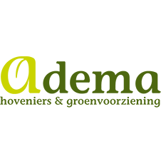 Adema Hoveniers en Groenvoorziening.jpg