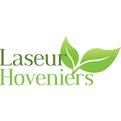 Laseur Hoveniers.jpg