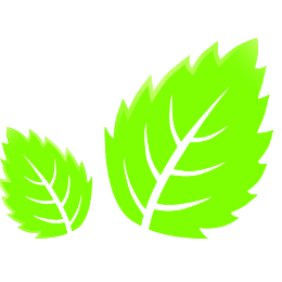 Hoveniersbedrijf Kevin de Wit.jpg