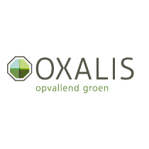 Oxalis Plant & Tuin.jpg
