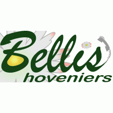 Bellis Hoveniers.jpg