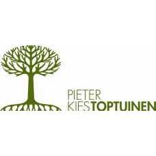 Pieter Kies Toptuinen.jpg