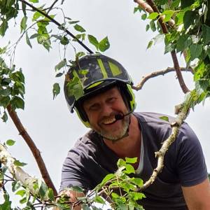 Hoveniersbedrijf Alexander Kleijn tuin/boom&bosverzorging.jpg