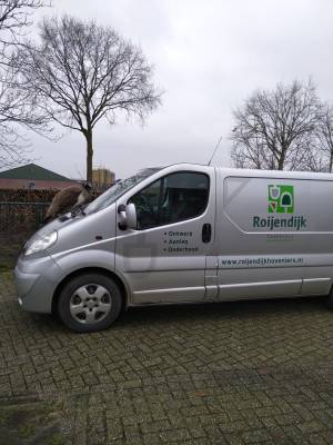 Roijendijk hoveniers.jpg