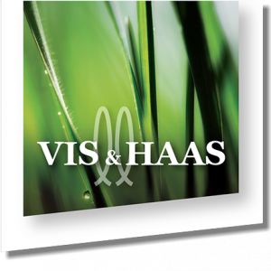 Vis & Haas Tuinen Zuid-Holland.jpg