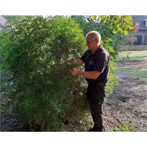 Hoveniersbedrijf De Passie.jpg