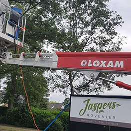 Jaspers Hovenier.jpg