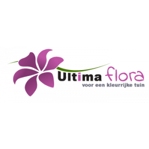 Hoveniersbedrijf Ultima Flora.jpg