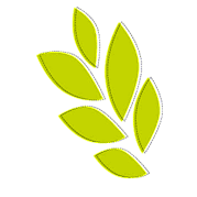 Rob van Saase Hovenier onderhoud en aanleg.jpg