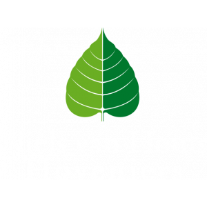 Hoveniersbedrijf Niels van Houts.jpg