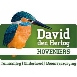 David den Hertog.jpg