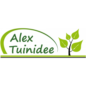 Alex Tuinidee.jpg