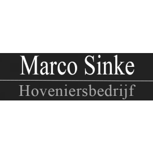 Marco Sinke.jpg