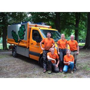 Daan de Haan Boomverzorging.jpg