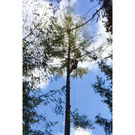 Bvw boomverzorging en tuin aanleg.jpg