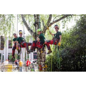 Sven Cobben Hovenier.jpg