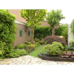 Jagtenberg Hovenier en Boomverzorger.jpg