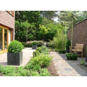 Klein Immenkamp Hoveniers.jpg